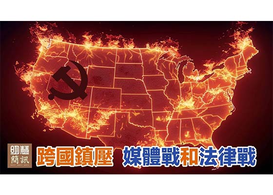 视频：跨国镇压：媒体战与法律战